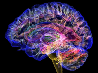 午夜污片在线观看大脑植入物有助于严重头部损伤恢复