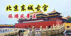 狠艹女人骚逼中国北京-东城古宫旅游风景区
